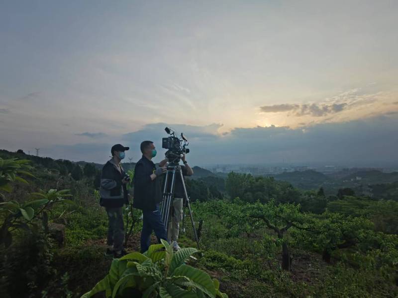 创意破圈！梅列区电商产品宣传视频用故事化叙事引爆流量