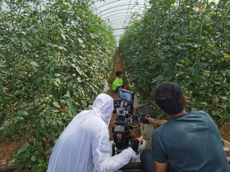 梅列区产品宣传视频拍摄公司进阶指南，助力品牌抢占传播高地